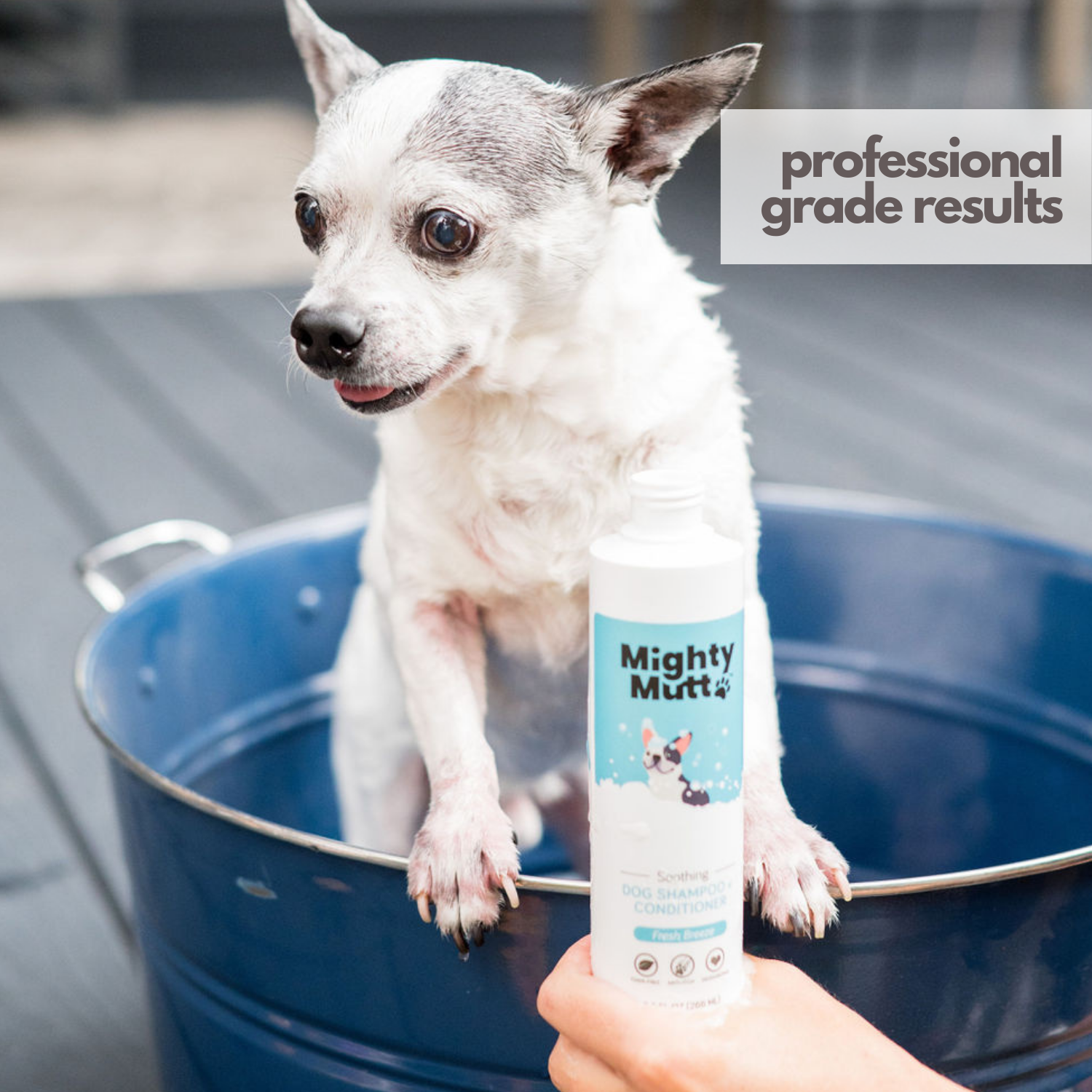 Hypoallergenic Anti itch Shampoo Conditioner MightyMuttLove