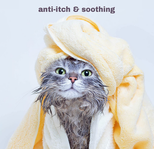 Anti itch clearance shampoo for cats